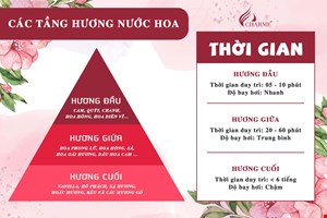 Những điều cần biết về 3 tầng hương của nước hoa