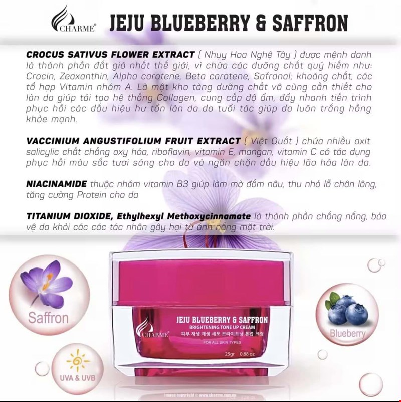 Kem Dưỡng Trắng Da Chống Lão Hóa Charme Jeju Blueberry & Saffron 25g